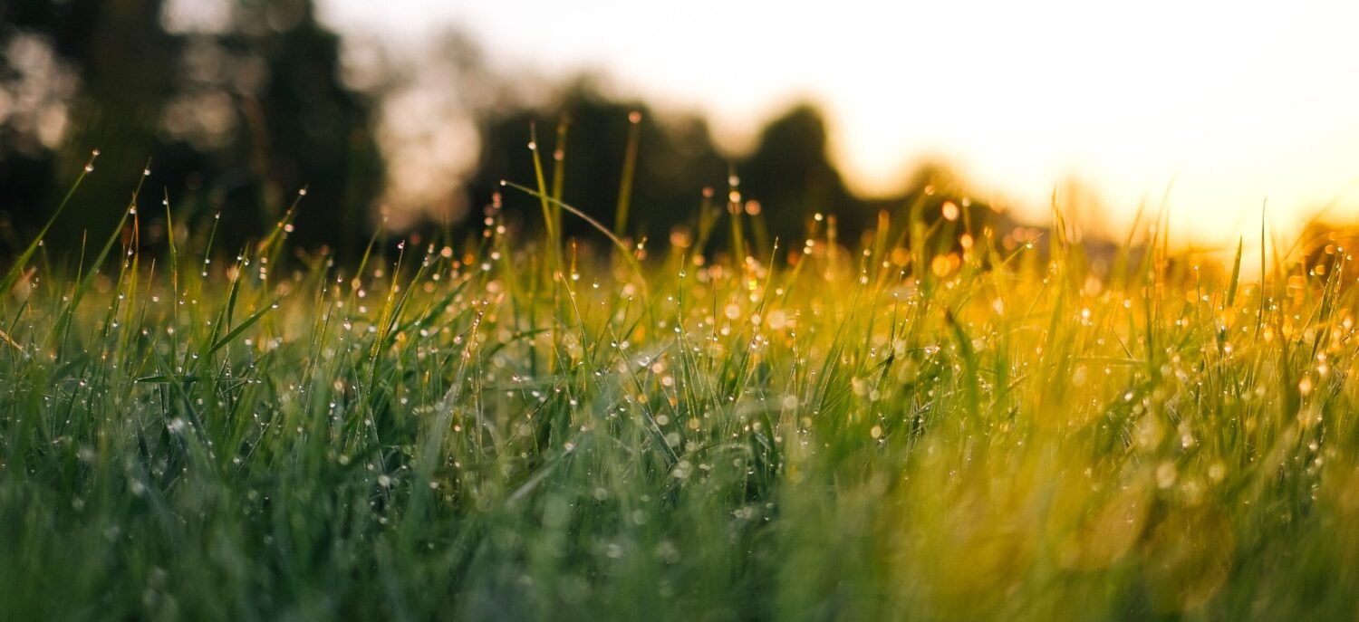 DISCOVER YOUR RESILIENCE